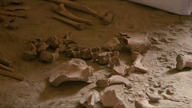 Secrets of the Saqqara Tomb (2020)