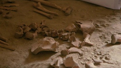 Secrets of the Saqqara Tomb (2020)