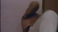 Epicka scena walki
