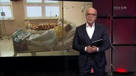 LEKARZE MÓWIA KRÓTKO - PANDEMIA TO KŁAMSTWO