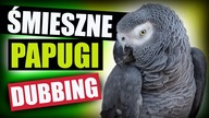 ŚMIESZNE PAPUGI  DUBBING: MATT OLECH