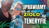 UPRAWIAM ZIOŁO NA TENERYFIE | ZDALNA Uprawa z APKI z moją MAMĄ | Growvlog 8