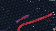 Slither. io z Synkiem :)