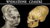 Dlaczego starożytni ludzie wydłużali czaszki?