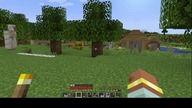 minecraft game