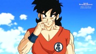 Super Dragon Ball Heroes 29 Lektor PL