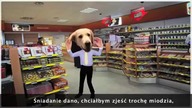 GANGNAM STYLE po Polsku