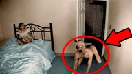 5 Paranormalnych Nagrań Przez które nie zaśniesz!