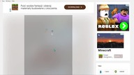 Raczej tu jest mały psiak