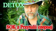 Mrożona przytulia na każdy dzień roku.  Ty decydujesz kiedy nastąpi DETOX