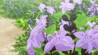 Konohana Kitan (anime) - Odcinek 8 Chwilowy go