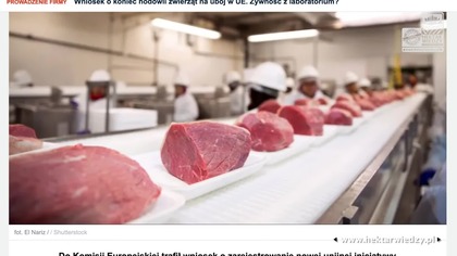 KONIEC HODOWLI ZWIERZAT NA UBOJ w UE Wniosek do Komisji Europejskiej Konsument