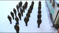 Harlem Shake (original army edition)