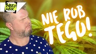 OUTDOOR - CZEGO NIE UPRAWIAĆ W POLSCE ?!  #WeedWeek