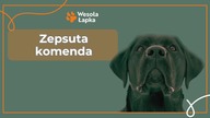 Zepsuta komenda