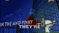 Pinky i M&oacute;zg S01E09 - Bałwan