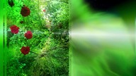 Mantra - clear your mind, free your soul, enter the spiritual world, see the beauty of every moment.