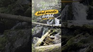 Każda przeszkoda może pokazać nową drogę  | Potok życia