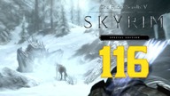 The Elder Scrolls V: Skyrim Special Edition - Skrytobójca Iluzjonista #116 #gameplay #PL, #zagrajmy