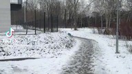 NIE MAM NIC WSPÓLNEGO Z KRADZIEŻĄ BUTLI Z HELEM 