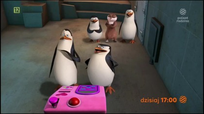 Polsat Rodzina - Zapowiedź "Pingwin&oacute;w z Madagaskaru" (27. 01. 2026)