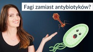 Bakteriofagi zamiast ANTYBIOTYKÓW? Nasza broń przeciw superbakteriom!