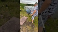Profesjonalne uwolnienie amura