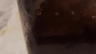 Mącznika daj Chilobrachysowi (Toss A Mealworm To Your Chilobrachys) 