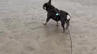 A na plaży...