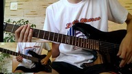 Sabaton - Resist And Bite (Cover)