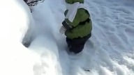 Szympans na śniegu