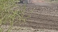 kultywacja pola MTZ Belarus