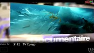 TVCONGO - 05-11-2021 - Promos