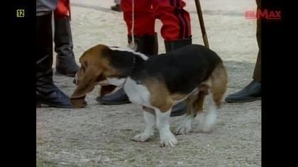 The New World of Zorro - Nowe przygody Zorro (1990) S03E04 ''Fałszywy trop''