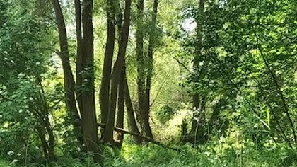 Spacer Nad Dunaj 28. 05. 7531