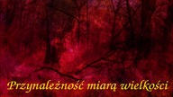 Przynależność miarą wielkości