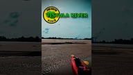 Vistula River #shorts