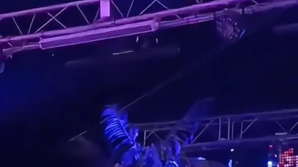 Defis II Opole 26. 07. 25 II Jeszcze Raz #defis #milypan #opole