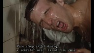 Wielce Skromny Bohater(Un H&eacute;ros Tr&egrave;s Discret) komedia, dramat 1996 napisy pl
