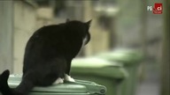 FaceBóg Film na faktach (Anglia) PL720p
