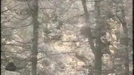PŚ Willingen 01. 02. 1997 - relacja z zawodów