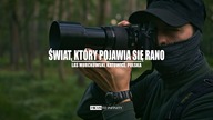Sfotografowałem żurawie - Fotografia przyrodnicza - Fuji X-T4 w akcji