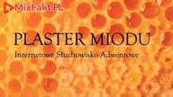 PLASTER MIODU  Odcinek 19  Malinowe upomnienie