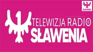 Pdosumowanie półroczne - Pytania i Odpowiedzi RAdio Telewizja Sławenia