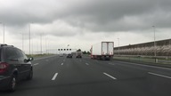 Szalony gołąb na autostradzie