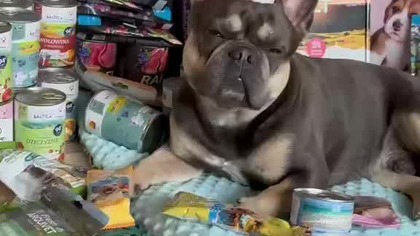 bcf9425b-73e3-4198-8432-f3c7bb706b8e