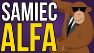 Jak być samcem alfa?
