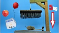 Extreme Mousetrap I EXPERIMENTS