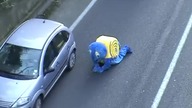 Ślimak na drodze