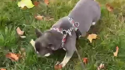 Normalny dzień pracy Secika w Reklamie.